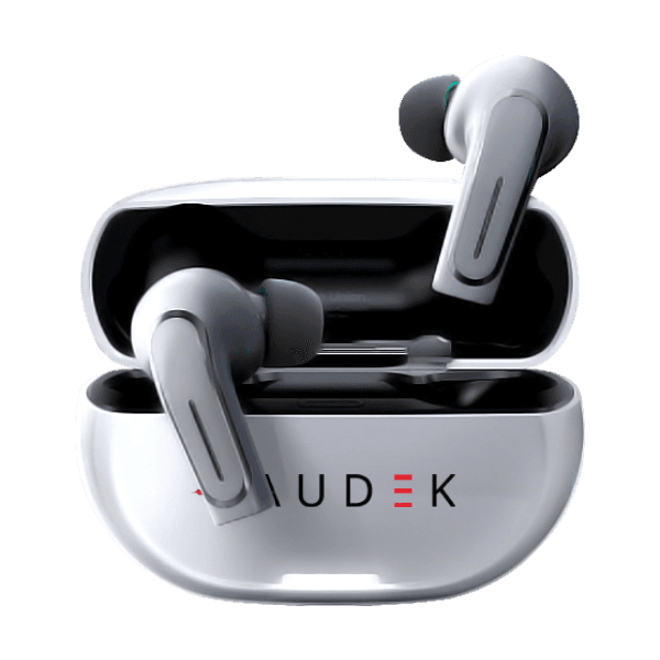 Airbud Hearing Aids